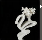 Quatro Olhares no Infinito